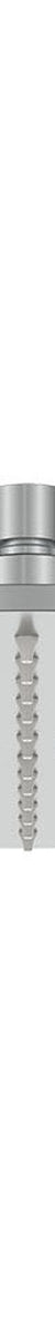 Fienza Kaya Outdoor Shower Head, Brushed Stainless Steel
