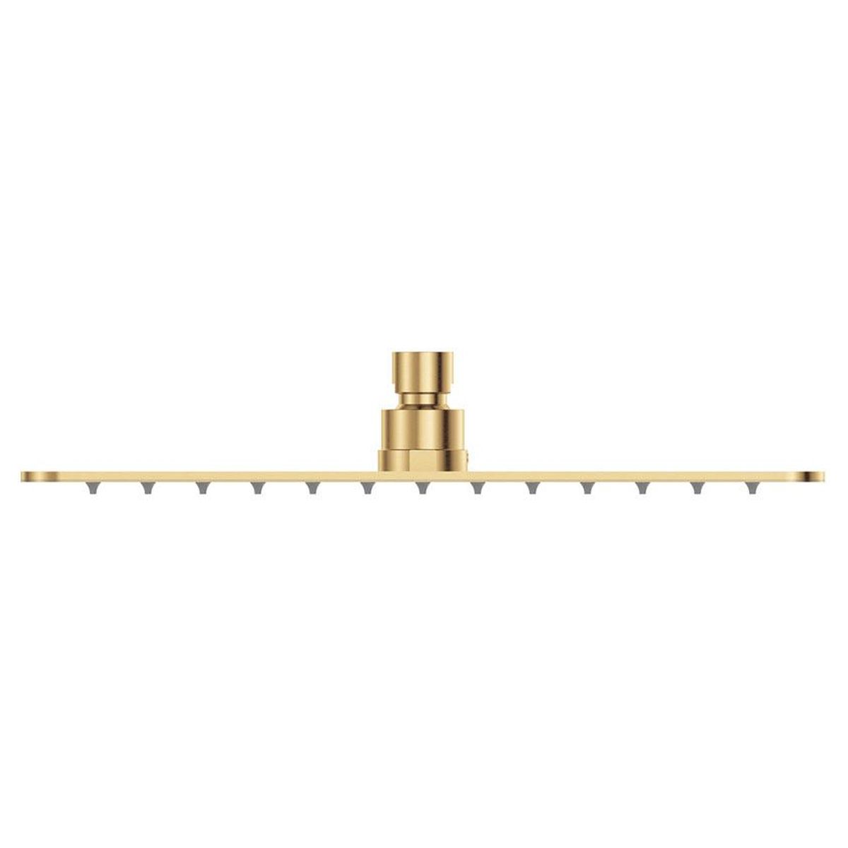 Koko Rectangular Shower Head, Urban Brass