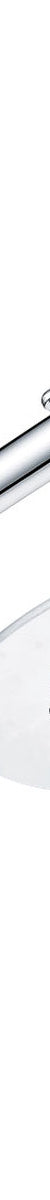 Fienza Slice Round Swivel Arm Wall Shower