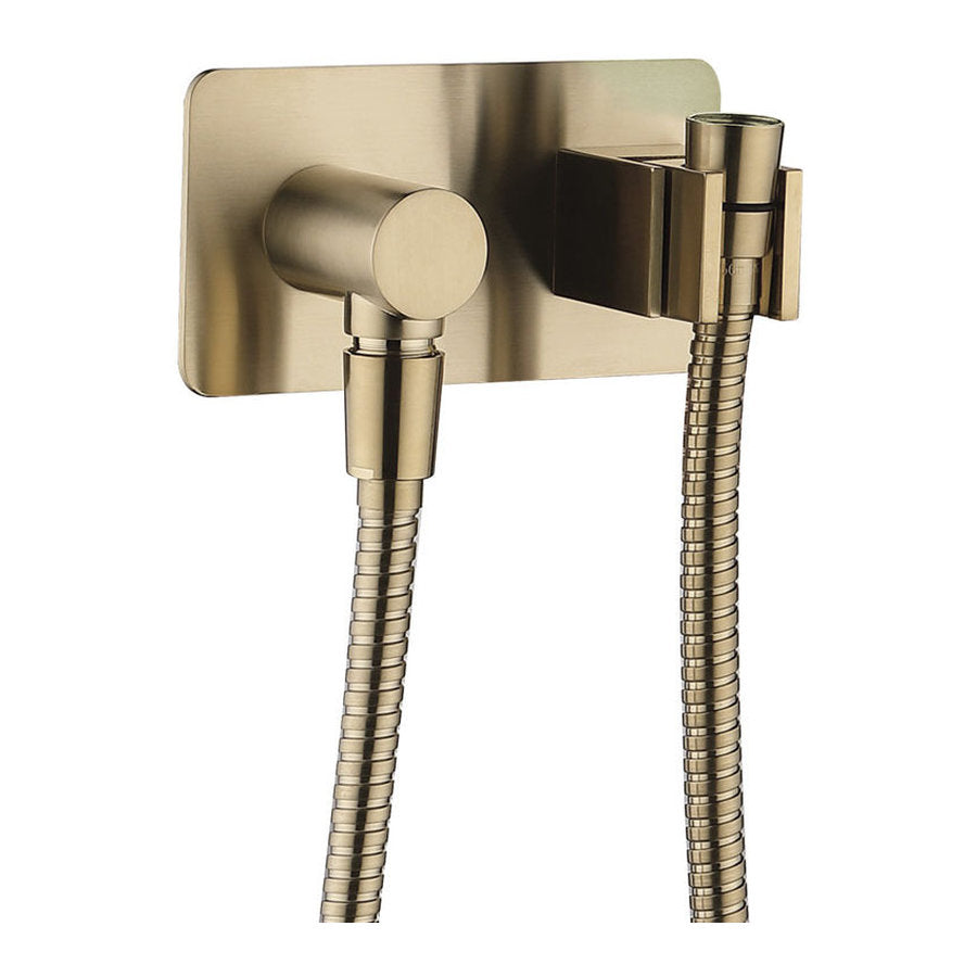 Fienza Universal Hand Shower Bracket & Hose, Rectangular Plate, Urban Brass
