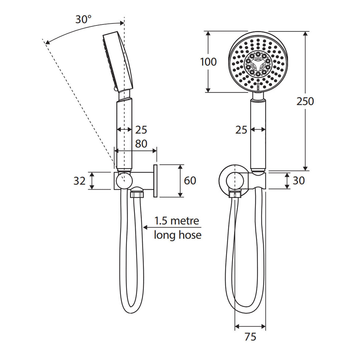 Fienza Michelle Hand Shower, Chrome