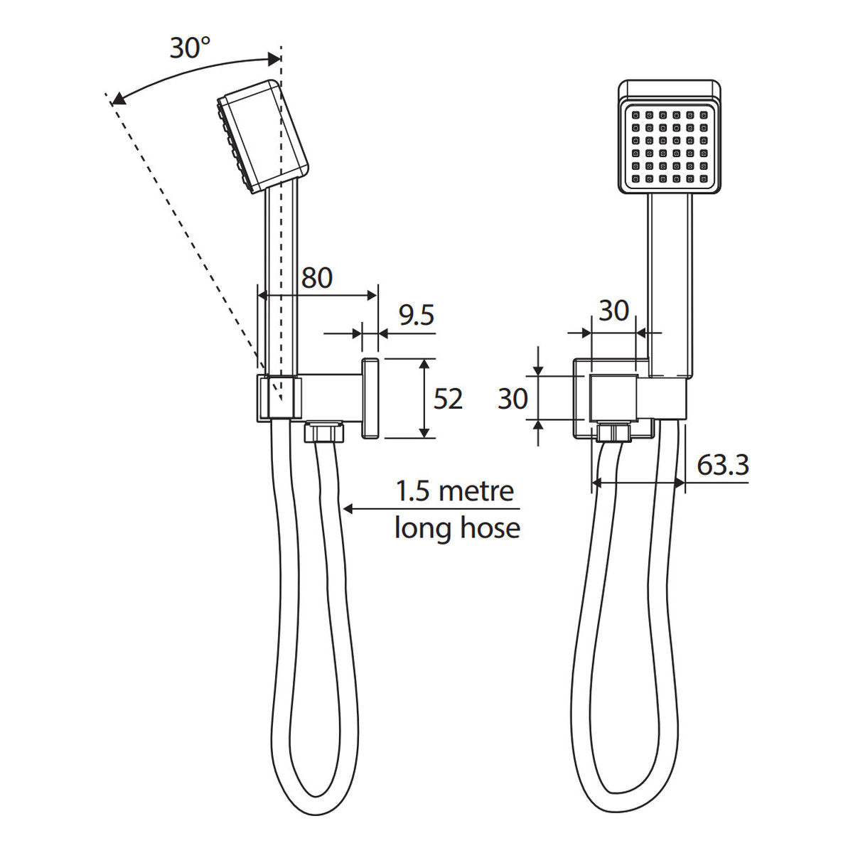 Fienza Modena Hand Shower, Chrome