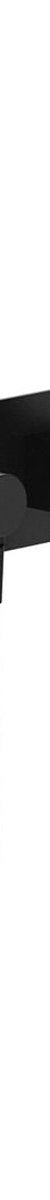Fienza Hustle Hand Shower, Rectangular Plate, Matte Black
