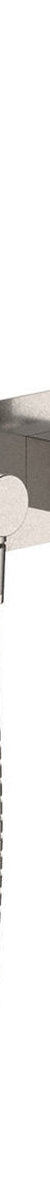 Fienza Isabella Hand Shower, Rectangular Plate, Brushed Nickel