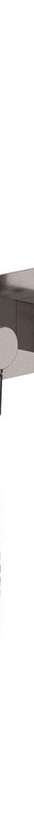 Fienza Isabella Hand Shower, Rectangular Plate, Gun Metal