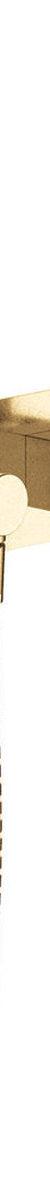 Fienza Isabella Hand Shower, Rectangular Plate, Urban Brass