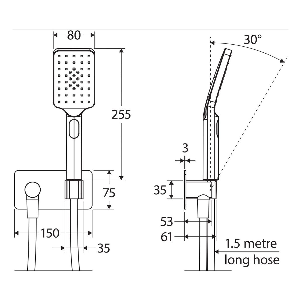 Fienza Tono Hand Shower, Rectangular Plate, Urban Brass