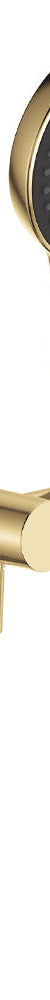 Fienza Kuro Hand Shower, Round Plate, Round Head, Urban Brass