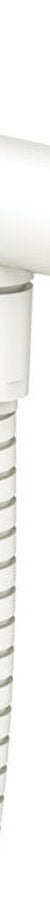 Fienza Universal Hand Shower Bracket & Hose, Round Plate, Matte White