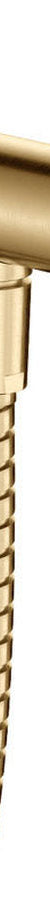 Fienza Universal Hand Shower Bracket & Hose, Round Plate, Urban Brass