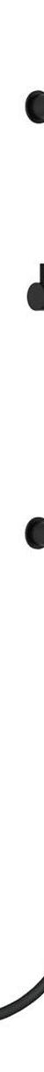 Fienza Hustle Rail Shower, Matte Black