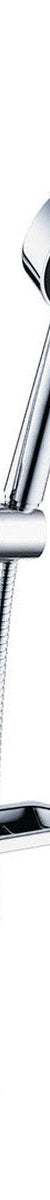 Fienza Stella Rail Shower With Soap Dish