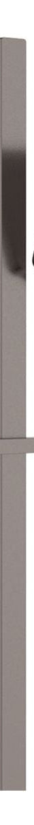 Fienza Tono Rail Shower, Gun Metal