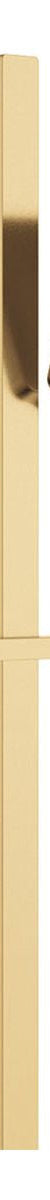 Fienza Tono Rail Shower, Urban Brass