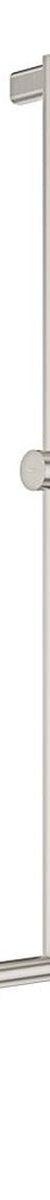 Fienza Care Inverted T Rail Shower with Push/Pull Slider, Brushed Nickel