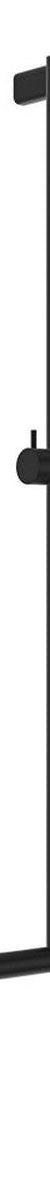 Fienza Care Inverted T Rail Shower, Matte Black