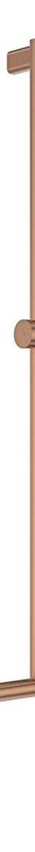 Fienza Care Inverted T Rail Shower with Push/Pull Slider, Brushed Copper