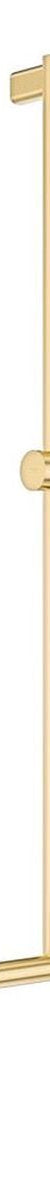Fienza Care Inverted T Rail Shower with Push/Pull Slider, Urban Brass