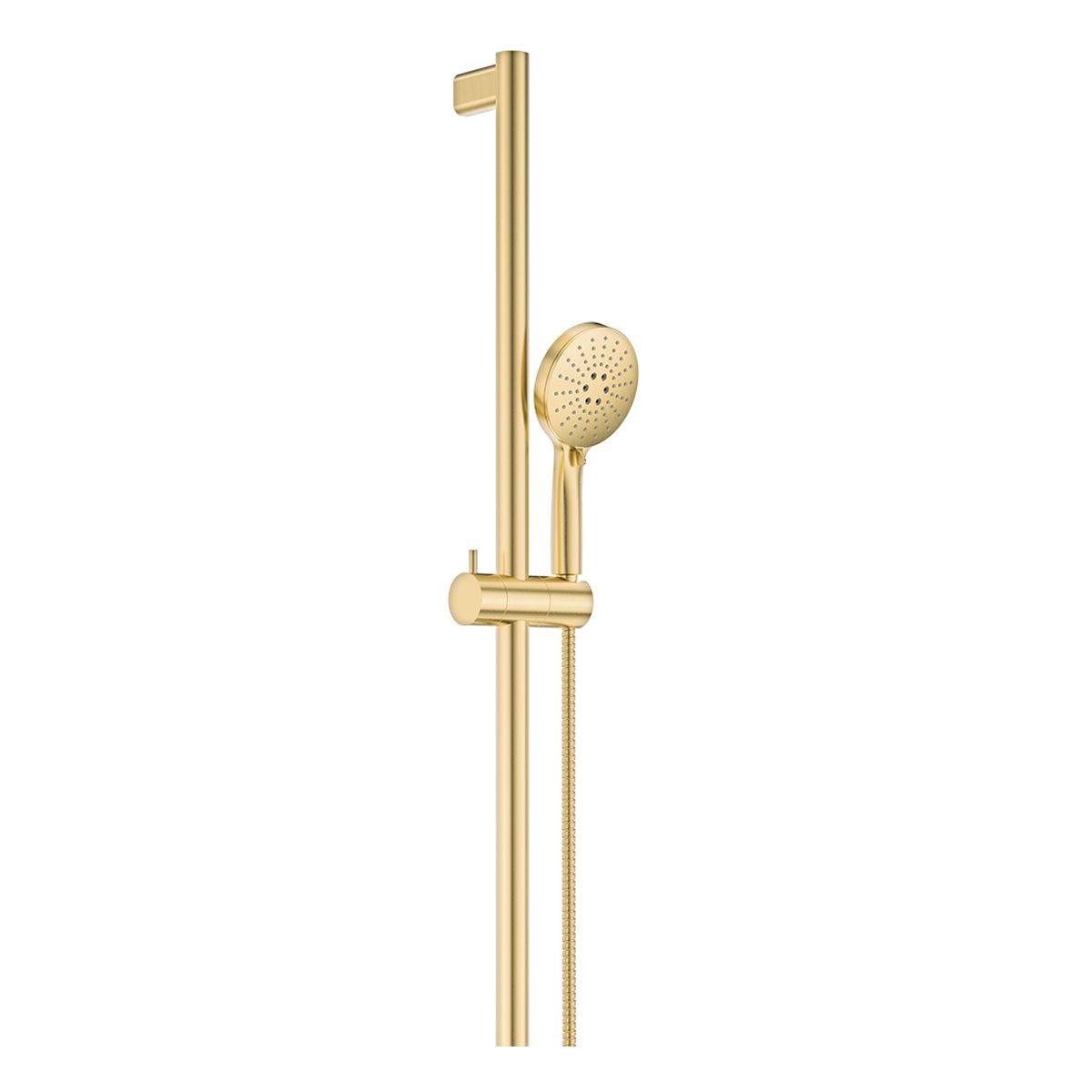 Fienza Care Inverted T Rail Shower, Urban Brass