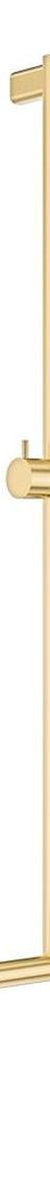 Fienza Care Inverted T Rail Shower, Urban Brass