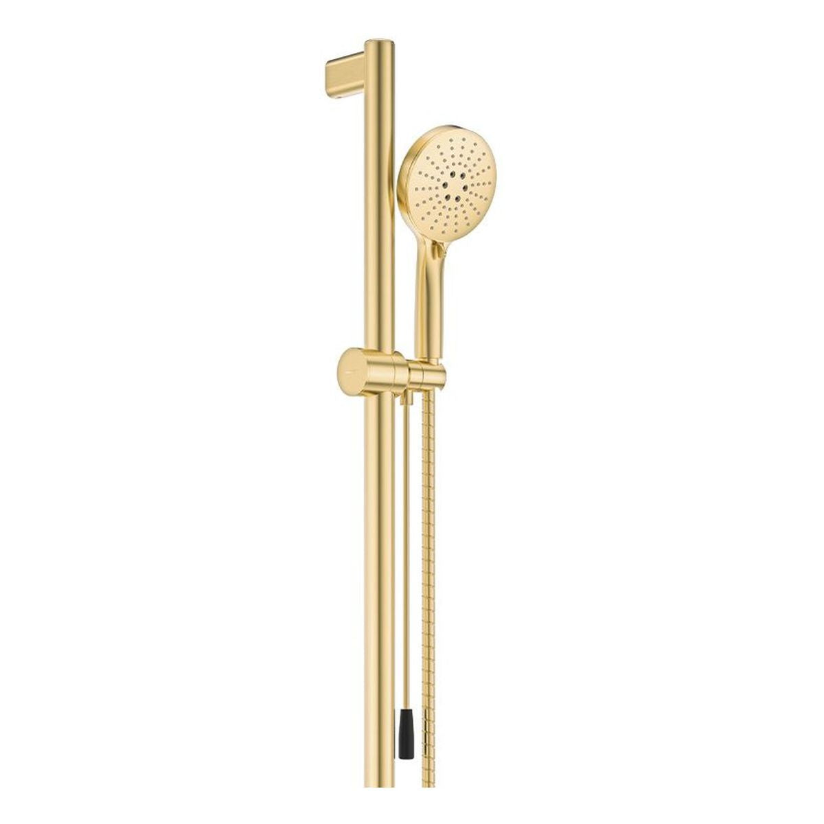 Fienza Care Rail Shower with Push/Pull Slider, Urban Brass