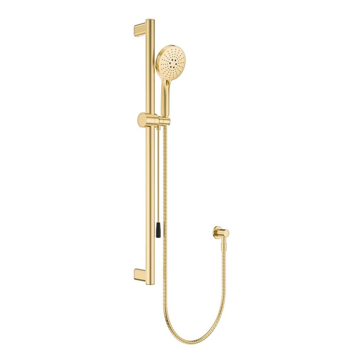 Fienza Care Rail Shower with Push/Pull Slider, Urban Brass