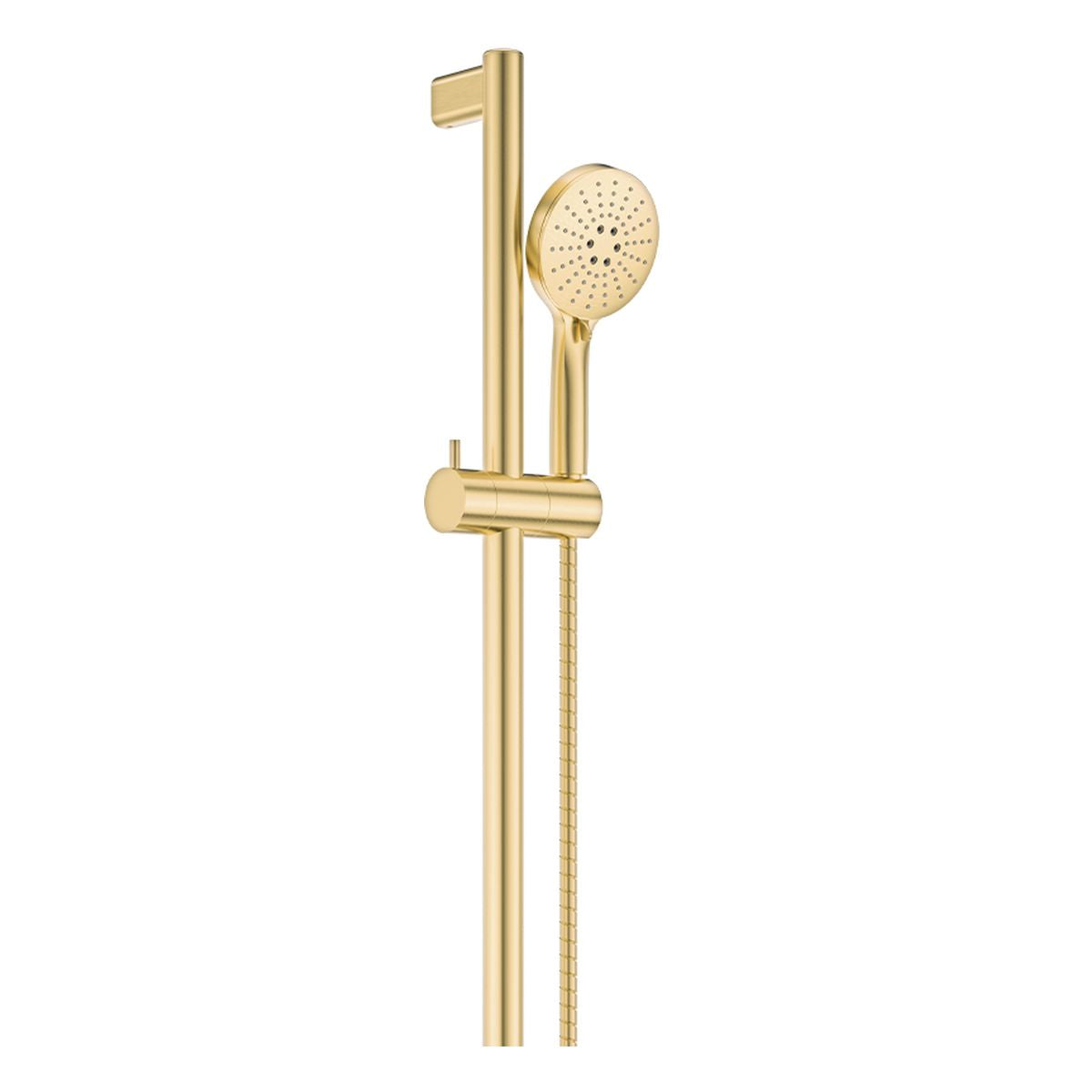 Fienza Care Rail Shower, Urban Brass