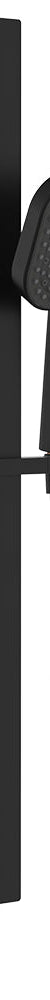 Fienza Kuro Rail Shower Soft Square Head , Matte Black
