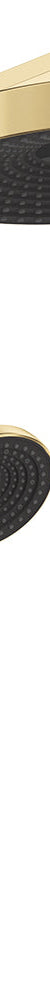 Fienza Kuro Deluxe Twin Shower Round Head, Urban Brass