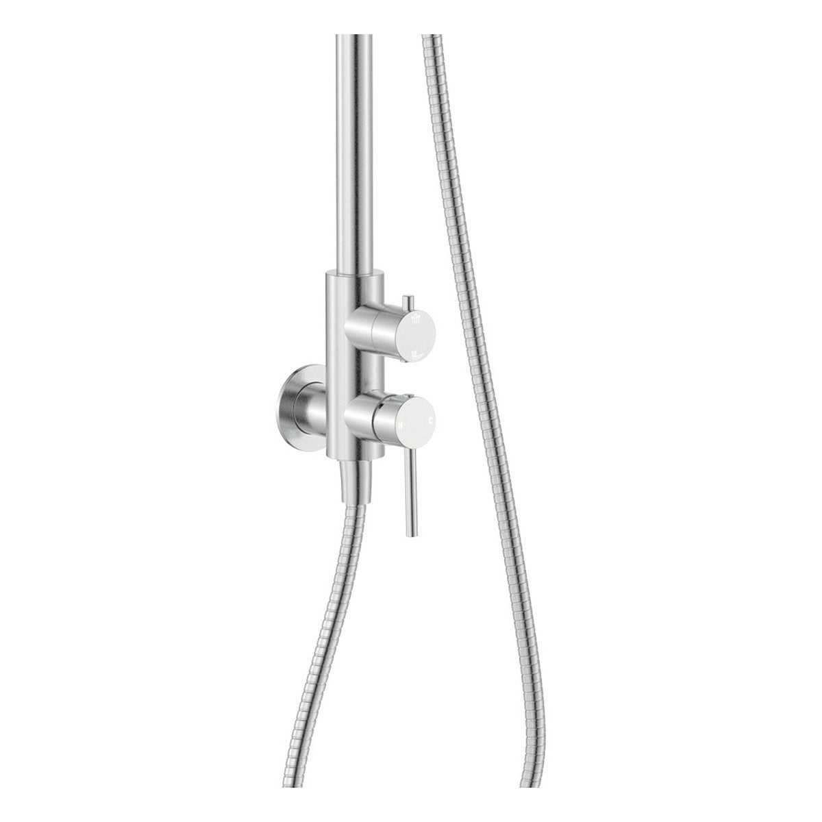 Fienza Kaya Wall Mounted Outdoor Twin Shower, Brushed Stainless Steel