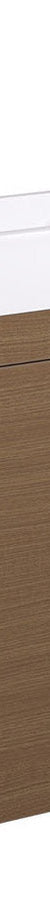 Fienza Denzel Edge 450 Ensuite Wall Hung Vanity, Walnut