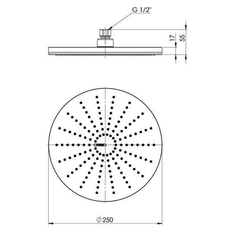 NX Vive Shower Rose
