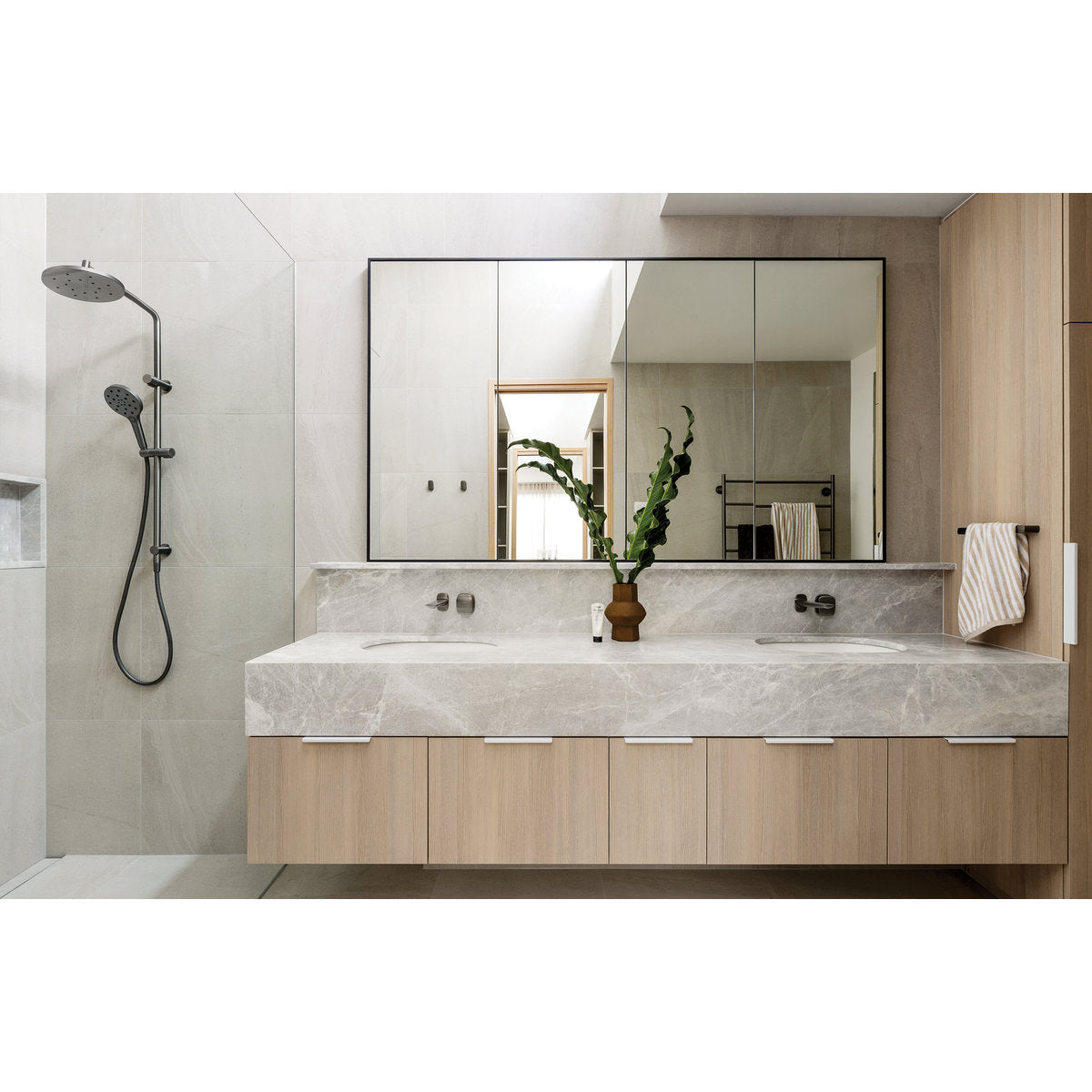 Phoenix Ormond Twin Shower - 4 Star, Brushed Carbon