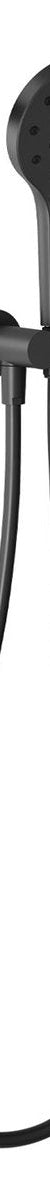 Phoenix Ormond Hand Shower - 4 Star, Matte Black