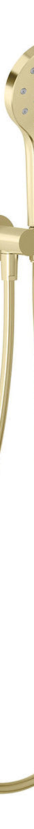 Phoenix Ormond Hand Shower - 4 Star, Brushed Gold