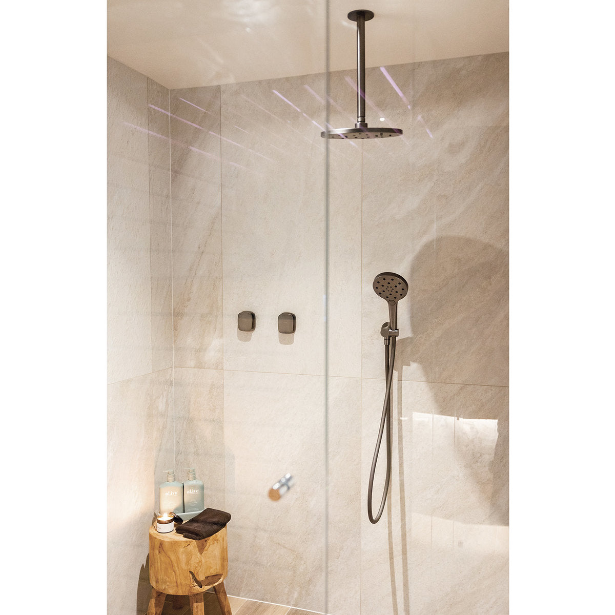 Phoenix Ormond Hand Shower - 4 Star, Brushed Carbon