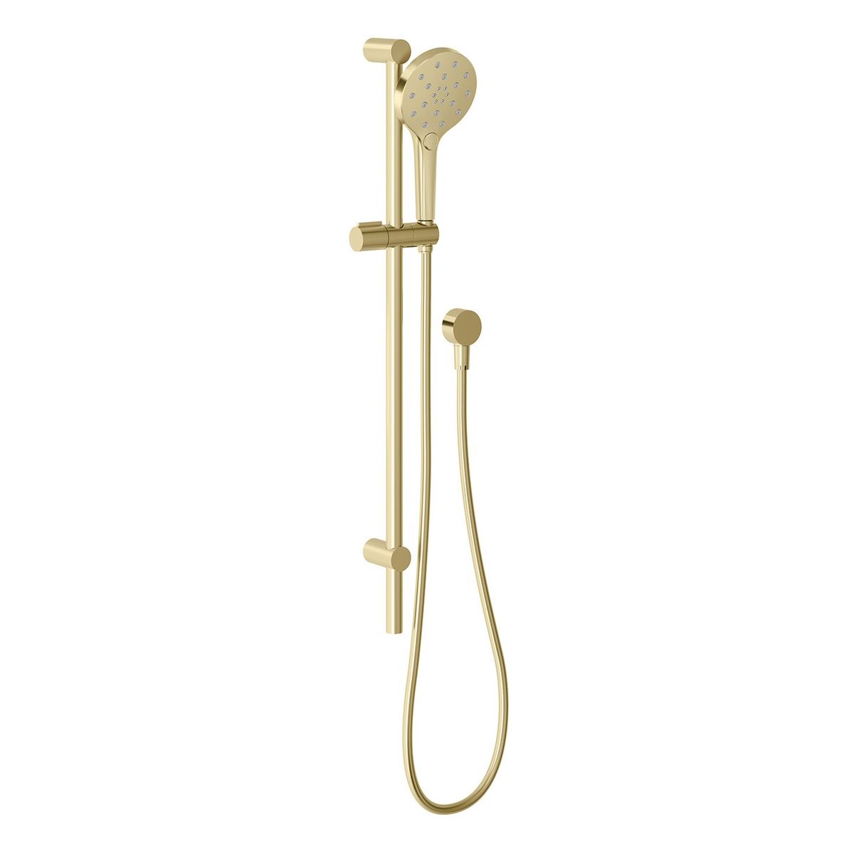 Ormond Rail Shower - Brushed Gold