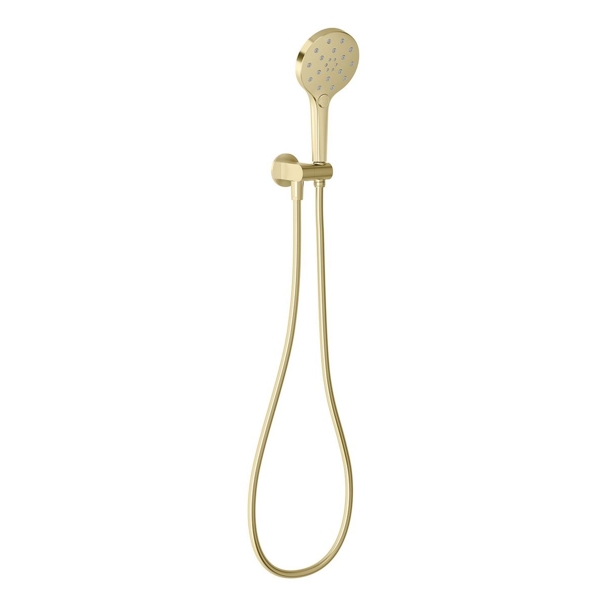 Oxley Hand Shower - Brushed Gold