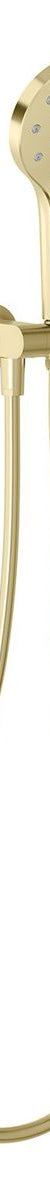 Oxley Hand Shower - Brushed Gold