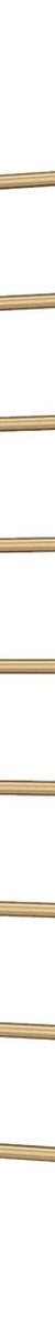 Fienza Lillian Heated Towel Rail, 600x1200mm, Urban Brass