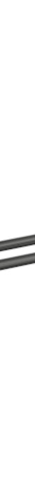Cioso 800mm Double Towel Rail in Gun Metal