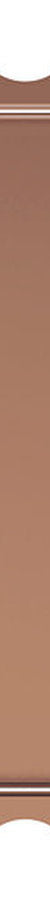 Fienza Hana Sink Colander, PVD Brushed Copper