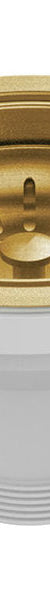 Fienza RAK Butler Sink Waste, Rugged Brass