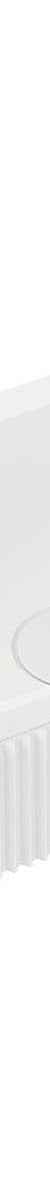 Fienza Minka Solid Surface Wall Basin, No Tap Hole