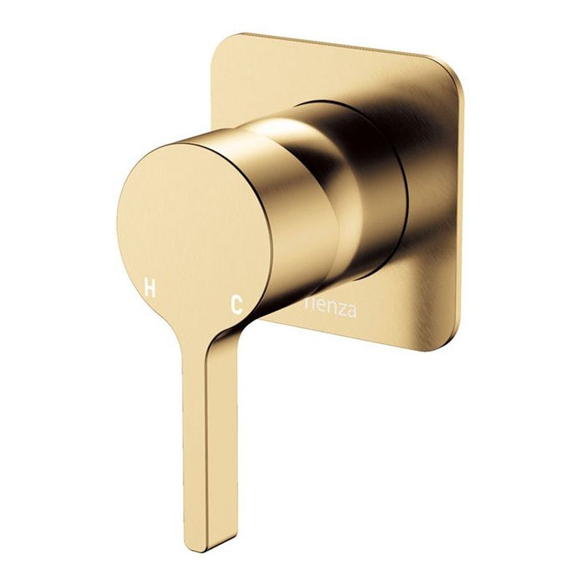 Fienza Sansa Wall Mixer Dress Kit, Square Plate, Urban Brass