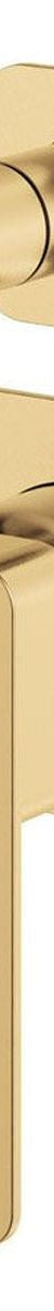Fienza Tono Wall Diverter Mixer Dress Kit, Urban Brass, Square Plates