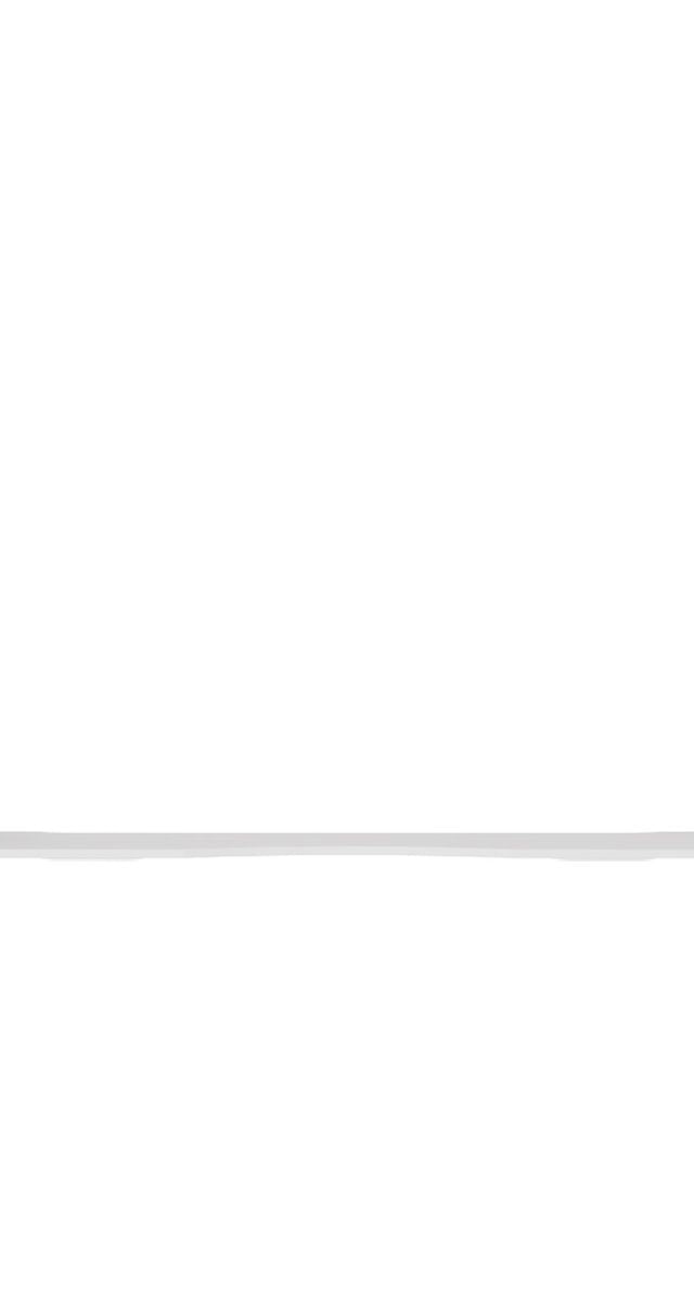 Fienza Toilet Support Arms