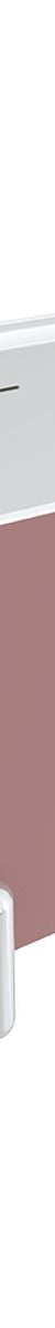 Fienza Aluca Freestanding Bath, 1700mm Matte Rouge with Chrome Legs with Overflow