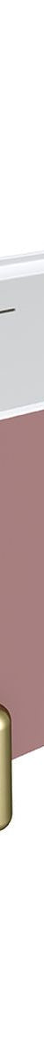 Fienza Aluca Freestanding Bath, 1700mm Matte Rouge with Urban Brass Legs, with Overflow