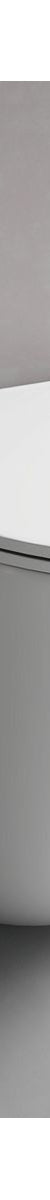 Hyde Rimless Wall Faced Pan - Complete